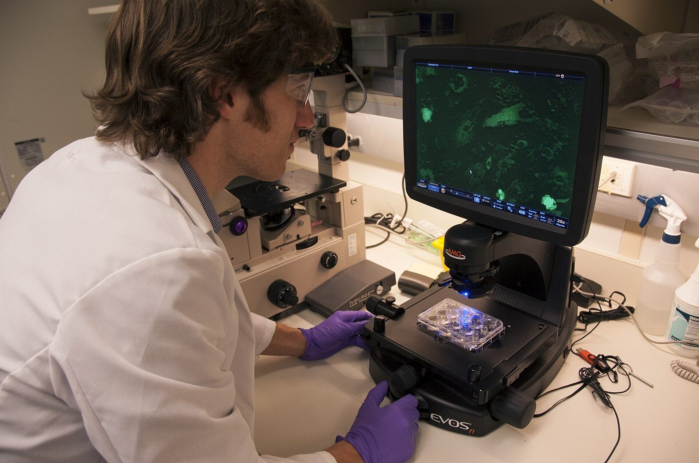 Ross Marklein, Ph.D., peneliti pascadoktoral FDA, memeriksa citra sel punca di laboratorium FDA di kampus NIH, Bethesda, Md.