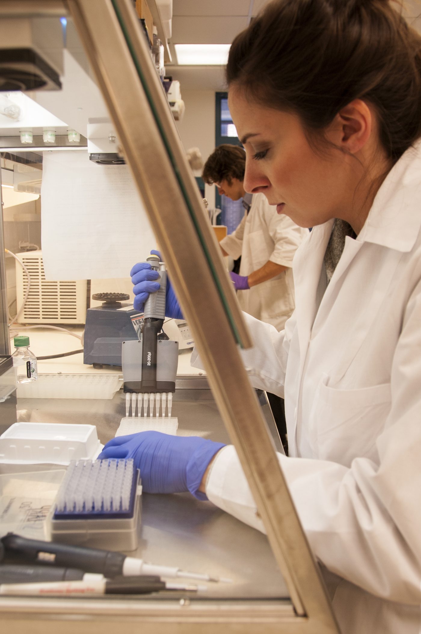 Peneliti Jessica Lo Surdo mempelajari reaksi berantai pada sel punca di sebuah laboratorium di Bethesda, Maryland.