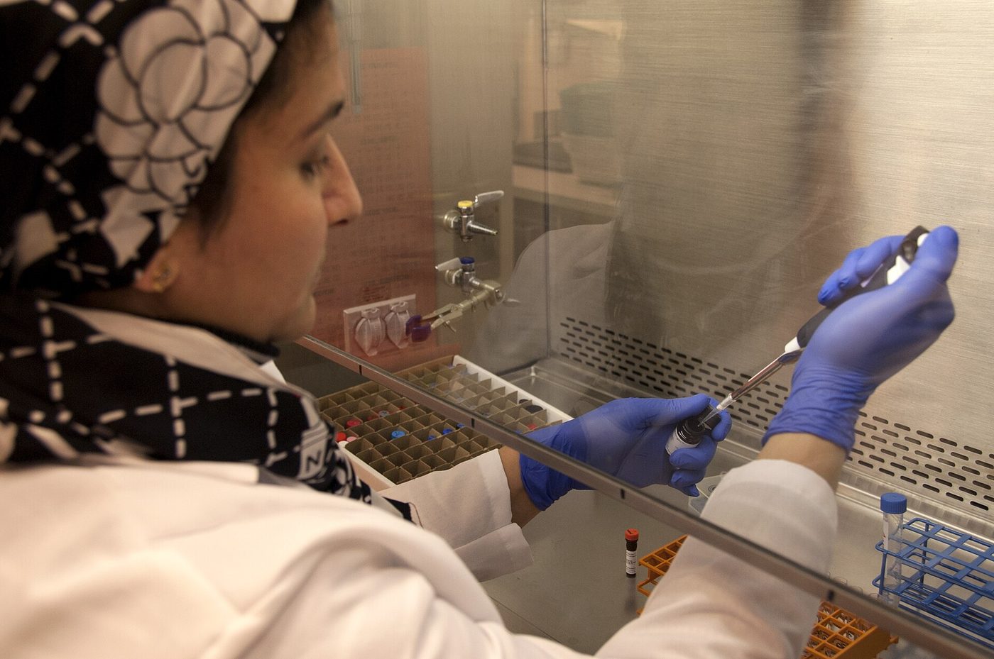 Peneliti Heba Degheidy bekerja dengan sampel sel punca di sebuah laboratorium di kampus NIH, Bethesda, Maryland.
